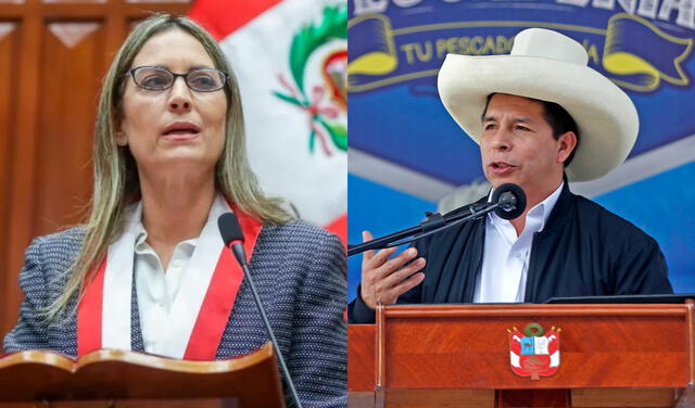 María del Carmen Alva y Pedro Castillo son las más altas autoridades en el Congreso y Ejecutivo, respectivamente. Foto: composición Congreso/Presidencia