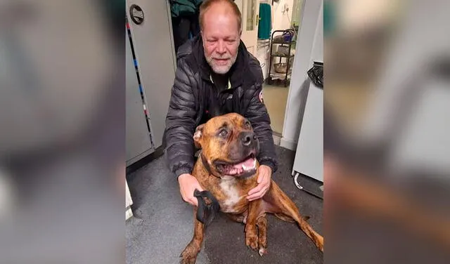 Facebook viral: hombre pensaba que su perrito estaba muerto, pero lo encuentra vivo seis días después