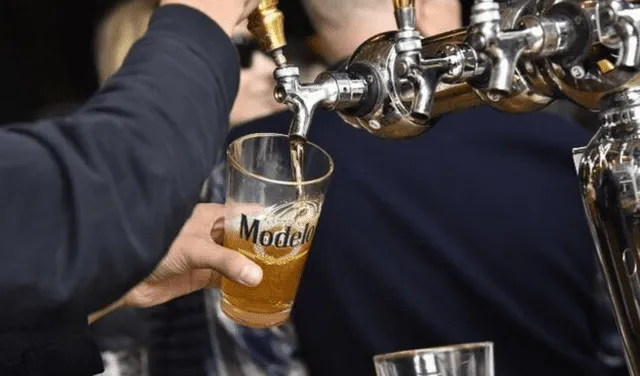El estudio reveló que el consumo ligero y moderado de cerveza afectaba el volumen del cerebro de una persona. Foto: AFP