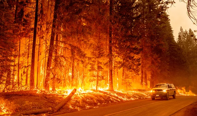 Incendio forestal en California. Foto: AFP