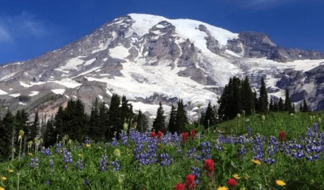 El Parque Nacional del monte Rainer se encuentra en Washington. Foto: captura de YouTube / Manutravel