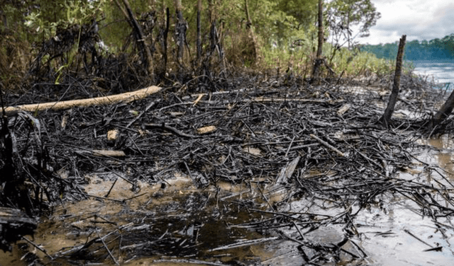 Contaminación por derrame de crudo cerca de Coca, Sucumbíos, en Ecuador