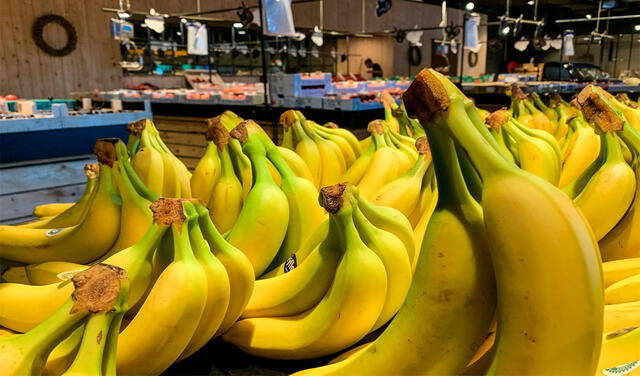 Los plátanos están entre las frutas que deben conservarse a temperatura ambiente. Foto: AFP