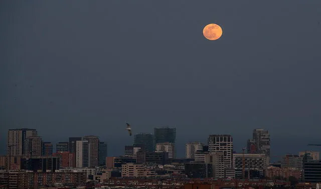 La Superluna de Pascua, o superluna rosa, salió el sábado sobre Barcelona (España). Foto: EFE