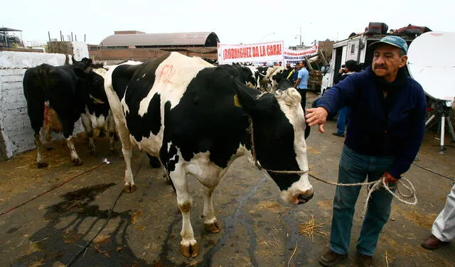 Protestas de ganaderos lecheros en el camal Colonial del año 2007. Foto: archivo