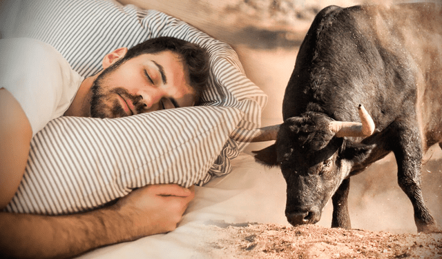 Soñar con toros