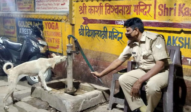 Facebook viral: policía ve a perro callejero con sed y le ofrece beber de una bomba de agua