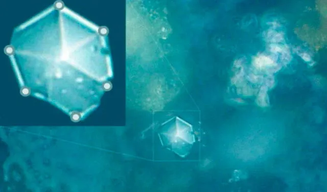 Primer plano de cristal y tamaño real bajo el microscopio electrónico. Foto: Taskaev et al.