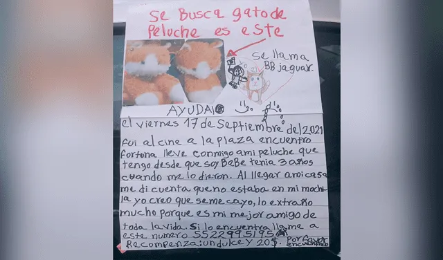 Niña ofrece un dulce y 1 dólar de recompensa a quien encuentre el peluche que olvidó en el cine