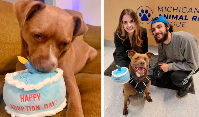 Facebook viral: perro posa feliz en su primera foto con su nueva familia al ser adoptado después de 279 días