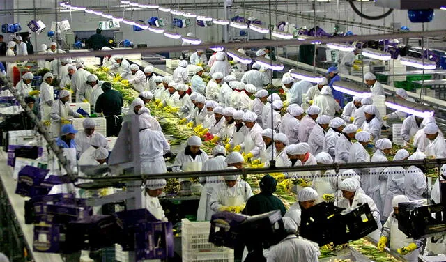Trabajadores en planilla. Foto: Andina