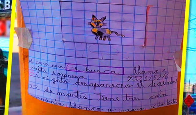 Hecho se volvió viral en redes sociales. Foto: captura Exitosa Tacna