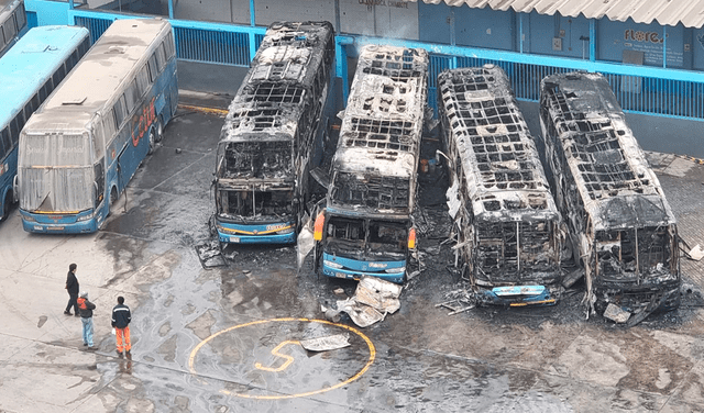 Incendio en empresa Flores: 4 buses de transporte interprovincial fueron quemados