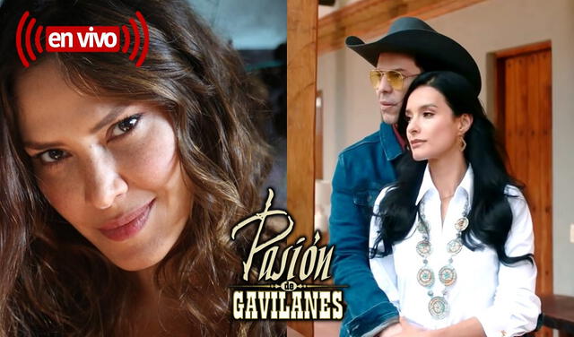 Con cada episodio de "Pasión de gavilanes 2", los fans siguen develando más misteriosos entre los protagonistas. ¿Jimena descubrirá la verdad sobre Óscar?. Foto: composición LR/Telemundo/Instagram/@miranda_laaleja