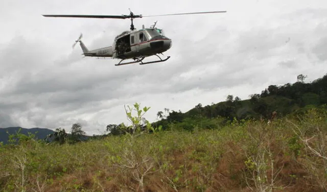 Según Devida, la Dirandro y del Corah, si se decide detener o postergar la erradicación en San Gabán, Puno, se afectará los esfuerzos para alcanzar el objetivo de eliminar 6 mil hectáreas de hoja de coca para este año. Foto: Virgilio Grajeda/La República