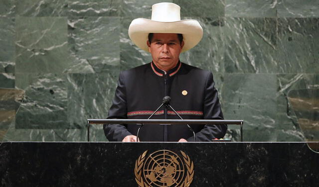 Castillo destacó la filiación de su Gobierno con la democracia. Foto: AFP