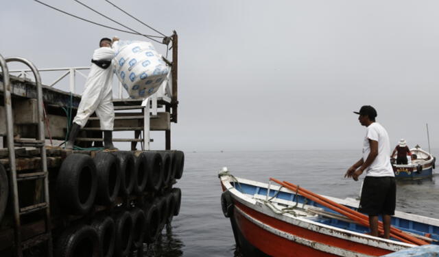 Solicitan apoyo de la Marina para rescatar animales en las islas tras derrame de petróleo