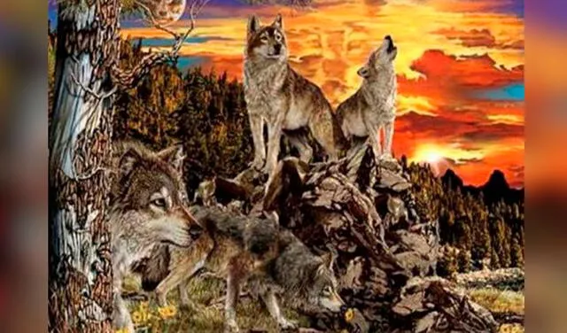 Facebook viral: ¿Encuentras los 14 lobos ocultos en el dibujo de este reto viral? [FOTOS]
