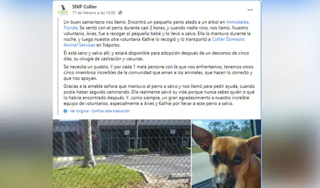 Captura de Facebook SNIP Collier