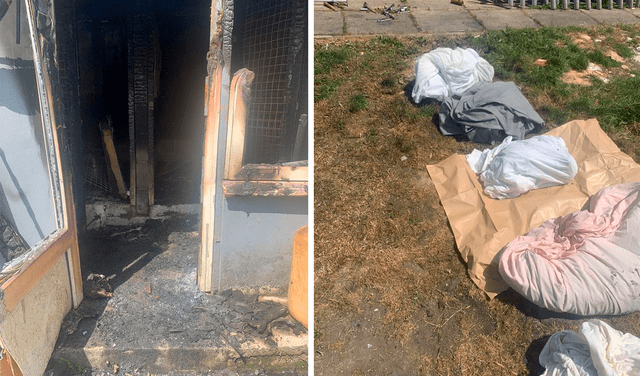 Siete perros fueron rociados con gasolina y quemados vivos