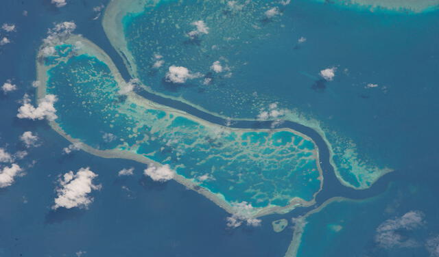 15 kilómetros de la Gran Barrera de Coral vistos desde el espacio | Foto:  NASA's Earth Observatory