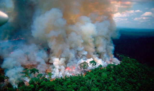Bolsonaro llama a destrucción de Amazonía “la misma bobada”, pero informe lo desmiente