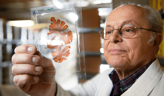 Heiko Braak explica que la conexión cerebro-intestino es el inicio del mal degenerativo conocido como párkinson | Foto: Science of parkinson