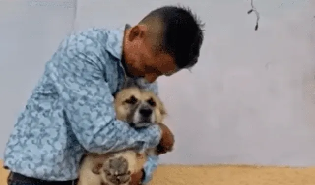 El perrito acaparó todas las miradas en redes sociales por su gran lealtad con su dueño. Foto: composición LR/captura de Tiempo