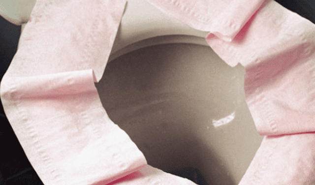 Colocar papel higiénico sobre el inodoro podría poner en riesgo tu salud