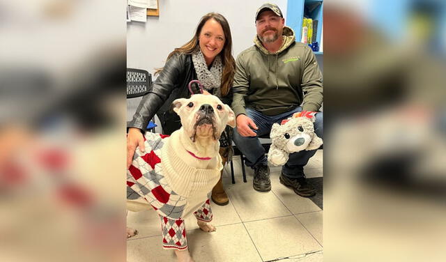 Facebook viral: perrita se convierte en la estrella de una obra teatral luego que fue rescatada de la calle