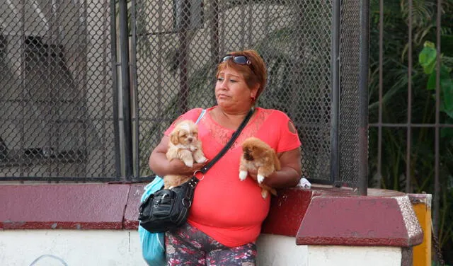 Venta ilegal de mascotas en el Centro de Lima. Foto: La República