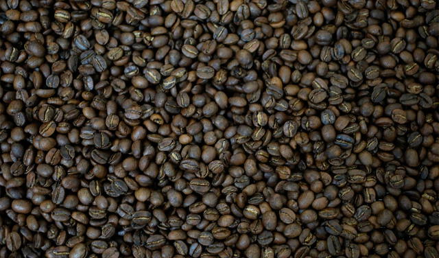 Los granos de café poseen un aroma penetrante muy eficaz para estos casos. Foto: AFP