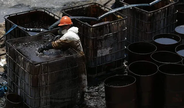 Derrame de petróleo ocurrido en Repsol afectó a la fauna y flora marina. Foto: Marco Cotrina / La República