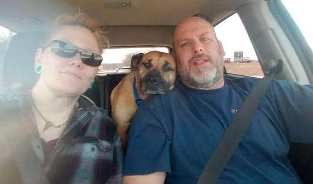 Facebook viral: hombre encuentra a perrita sin hogar dentro de su auto y decide ayudarla