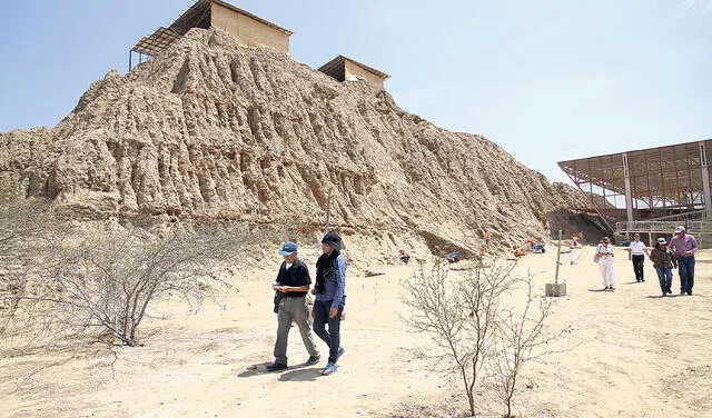 Arqueología. Pirámides de Túcume entre los más visitados.