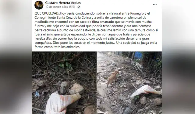 Foto: captura de Facebook / Gustavo Herrera Foto: captura de Facebook / Gustavo Herrera