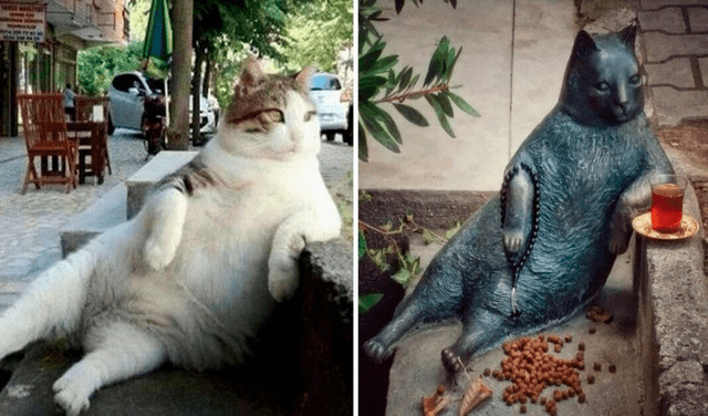 Conoce a Tombili, el gato callejero que tiene su propia estatua en Estambul