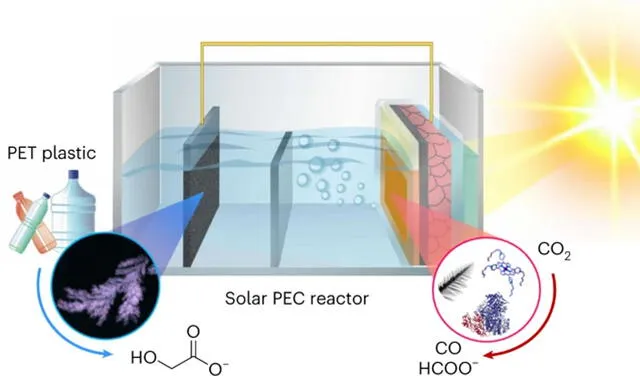 Diseño completo del reactor, que usa dos cámaras distintas. Imagen: Bhattacharjee et al.
