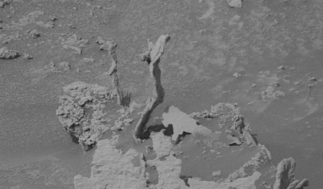 Imagen sin procesar de la 'planta marciana' tomada por el róver Curiosity. Foto: NASA / JPL-Caltech / MSSS