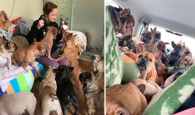 Facebook viral: mujer conduce dos veces hasta Ucrania para salvar la vida de sus 50 perros ante el conflicto
