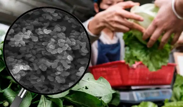 El cadmio se adhiere con facilidad a las plantas y productos agrícolas. Foto: composición / Hoseini & Bagheri / AFP
