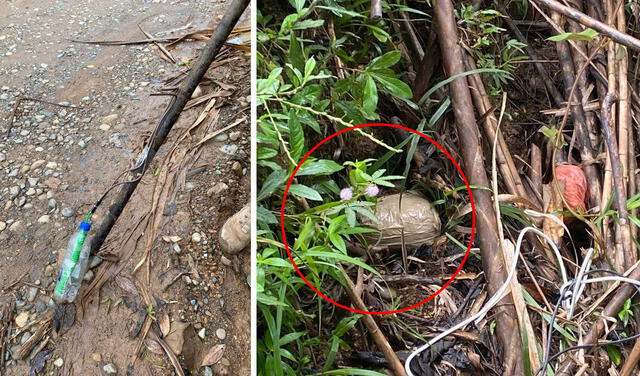 El material explosivo se halló cerca a la carretera que la lleva a su hogar en Yolombó. Foto: LR composición/@FranciaMarquezM/Twitter