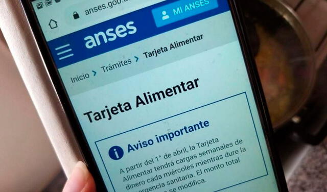 Anses recuerda la importancia de mantener los datos actualizados en la plataforma Mi ANSES. Foto: Instagram