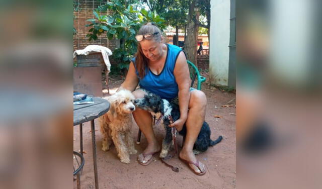 Adoptan a perrito que fue abandonado con su comida y tarjeta de vacunación