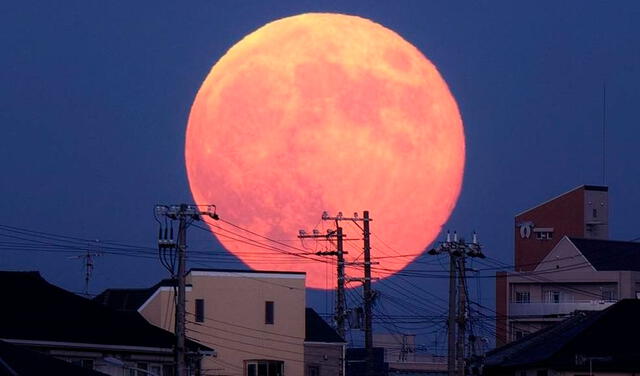Superluna rosa de abril 2021: ¿cuándo y cómo ver el evento astronómico?