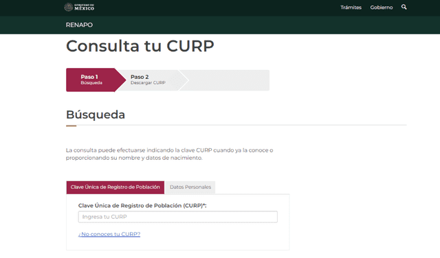 Portal de consultas CURP.