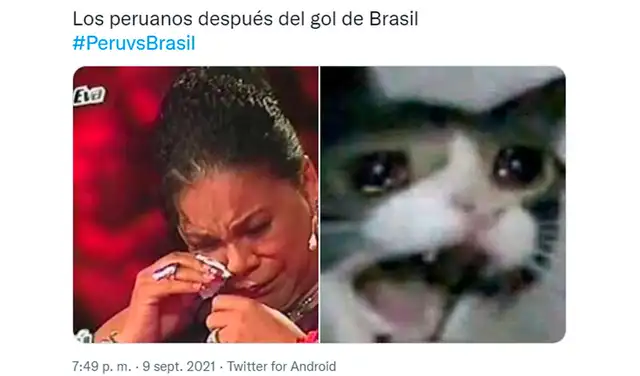 Mejores memes del Perú vs. Brasil por las Eliminatorias Qatar 2022. Foto: captura Twitter Mejores memes del Perú vs. Brasil por las Eliminatorias Qatar 2022. Foto: captura Twitter