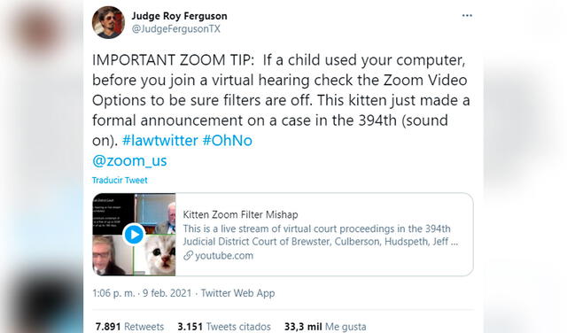“Señor juez, no soy un gato”: abogado pasa vergüenza por no quitar filtro