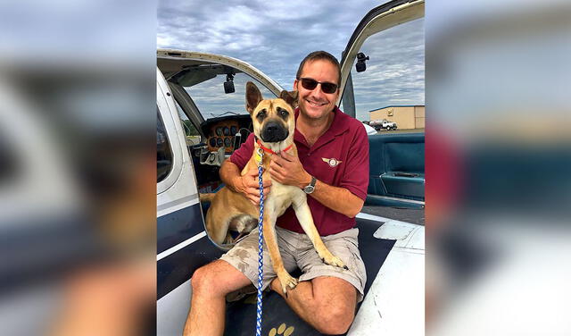 Facebook viral: piloto compra un avión para rescatar a cientos de animales de los refugios