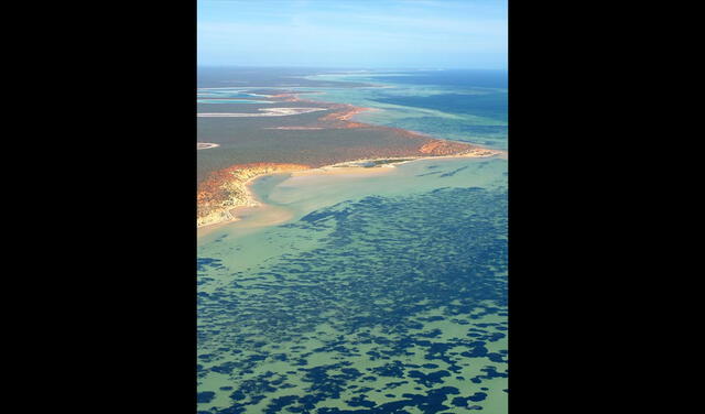 Imagen aérea de la bahía de Shark Bay, en Australia. Foto: Angela Rossen / The Conversation